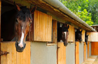 free Bishon Common stable construction quotes